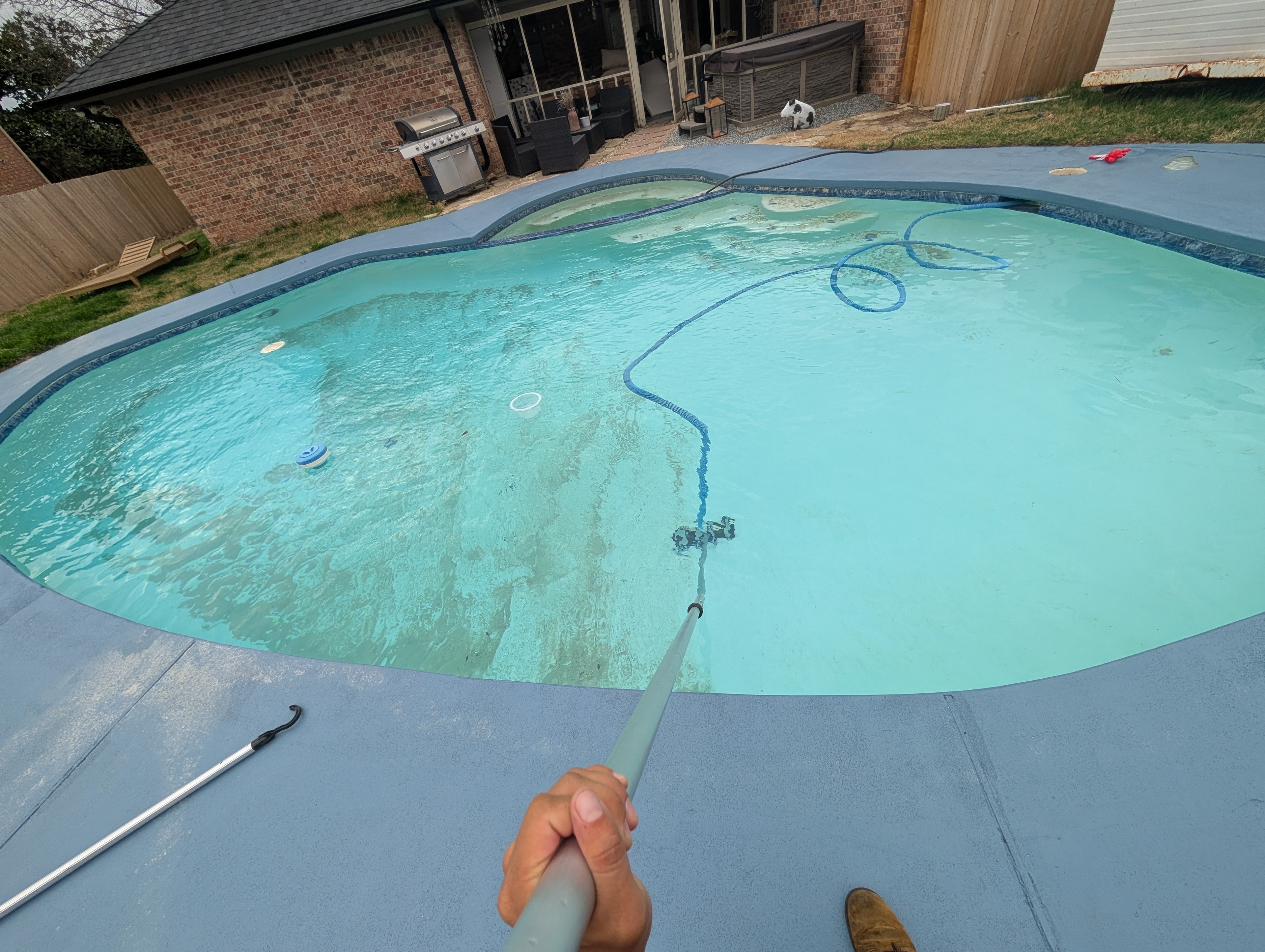 Pool Vacuum in Progress